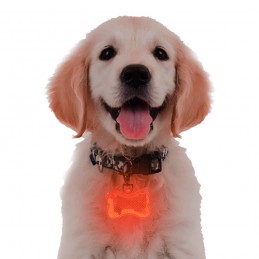 colgante led para perro paseos nocturnos placa luminosa para perros mascotas
